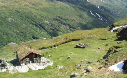 Fjellsli